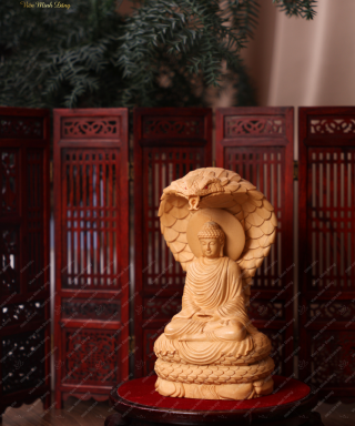 Rắn Naga và Phật Thích Ca