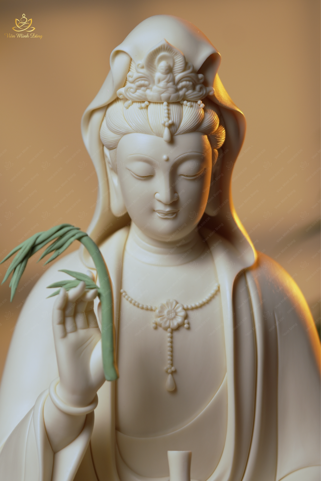 Quan Âm Liễu (Xanh) - 35cm - Ảnh 5