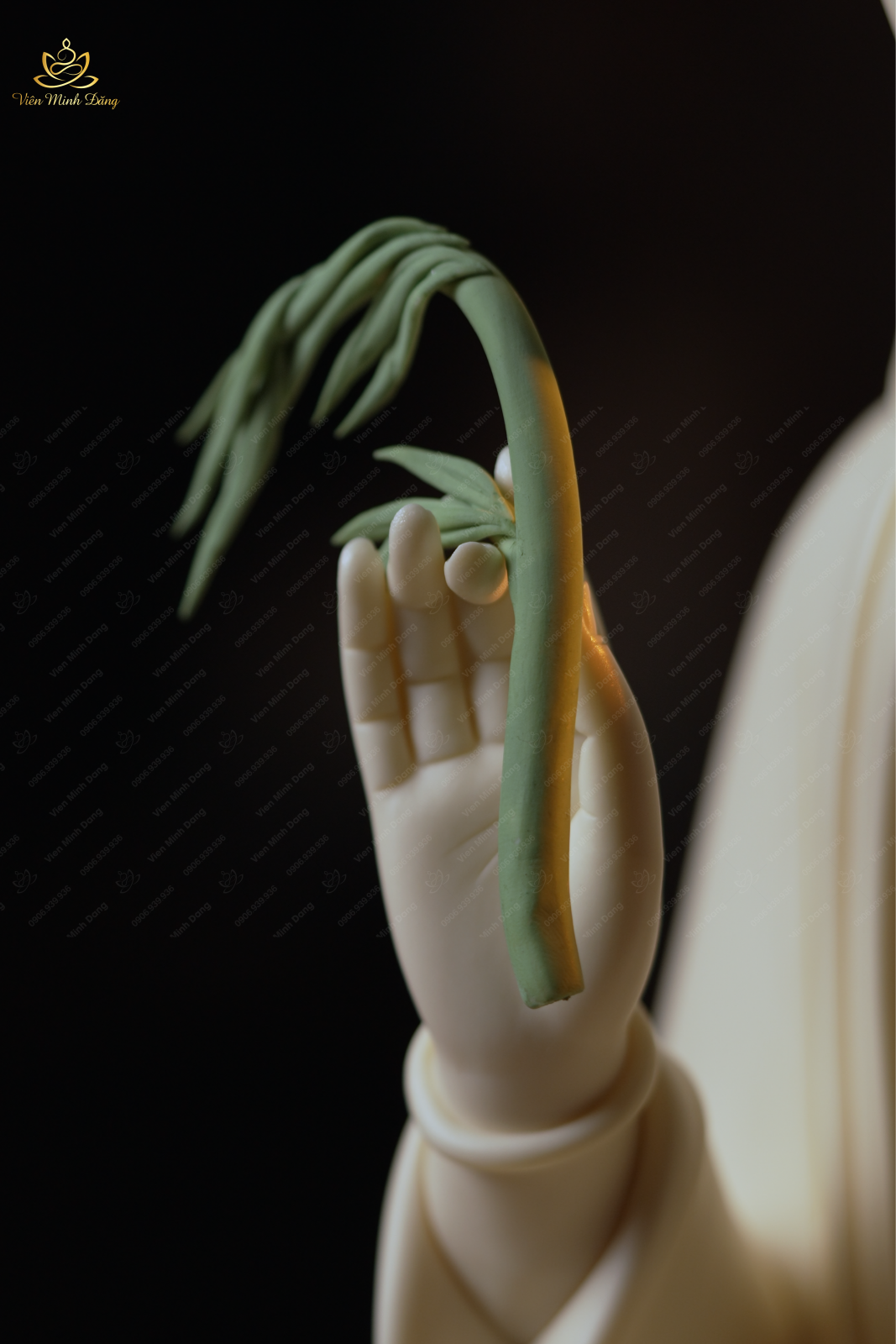 Quan Âm Liễu (Xanh) - 35cm - Ảnh 6