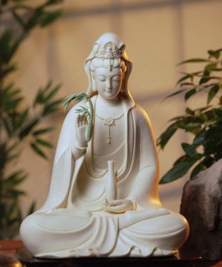 Quan Âm Liễu (Xanh) - 35cm