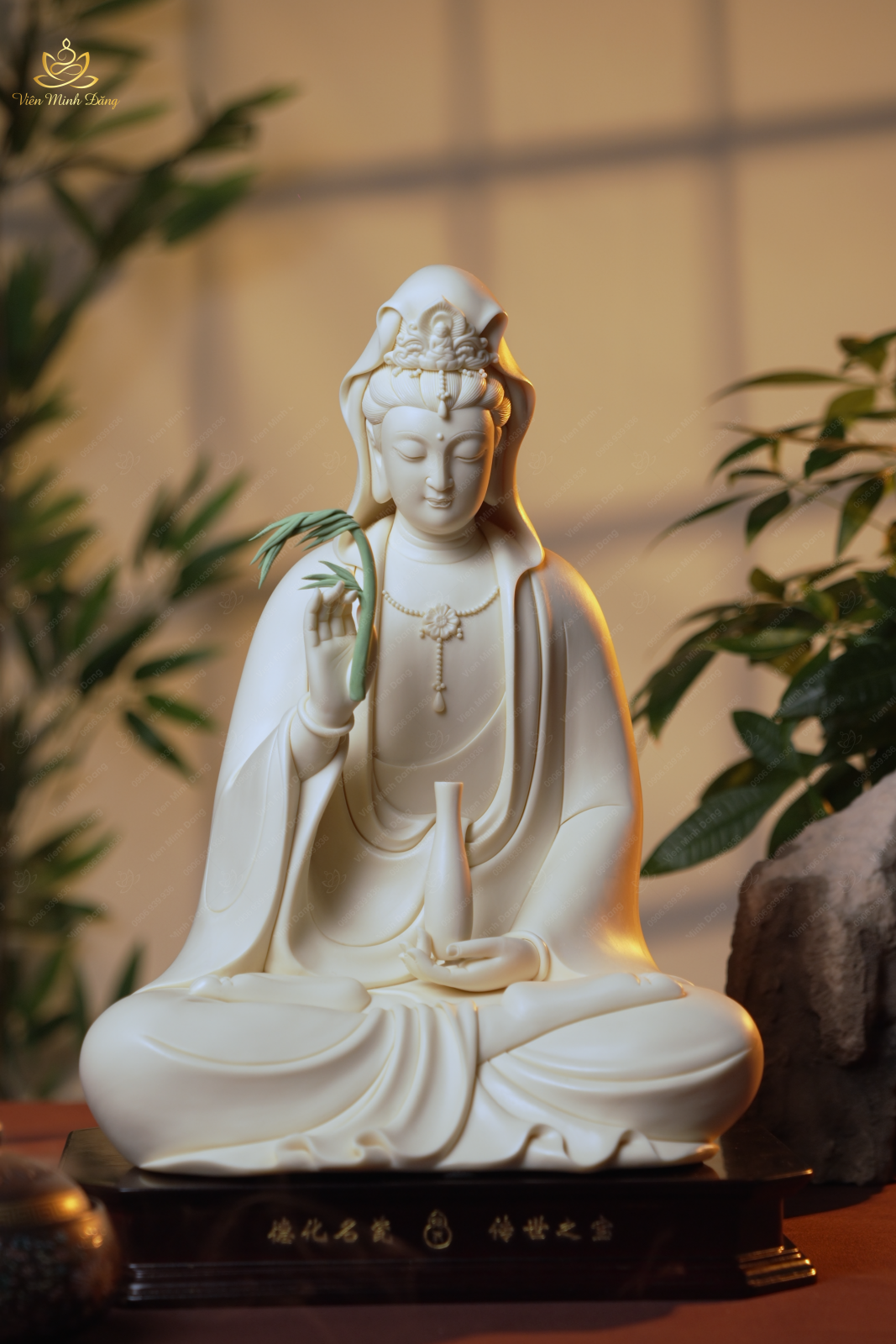 Quan Âm Liễu (Xanh) - 35cm