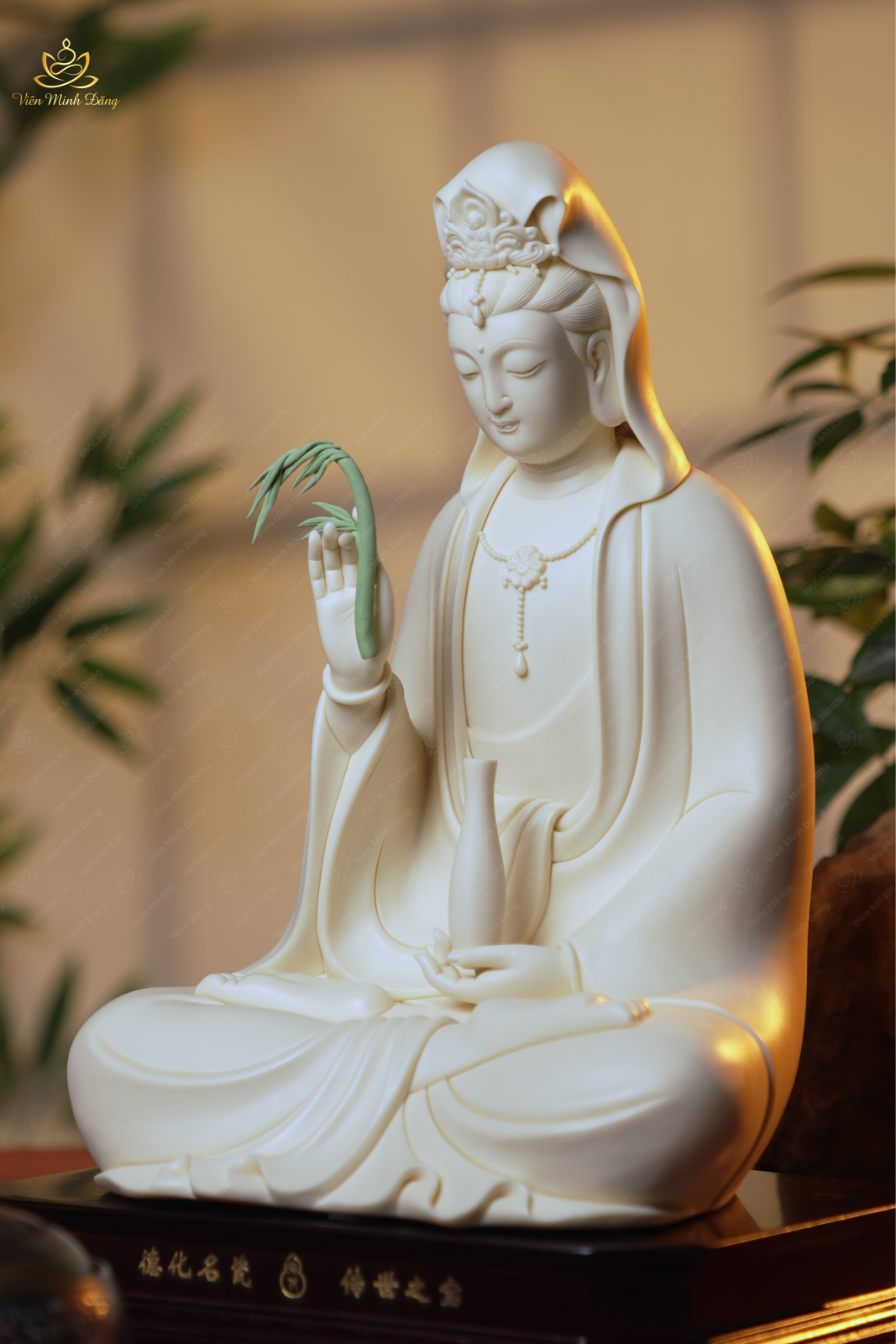 Quan Âm Liễu (Xanh) - 35cm - Ảnh 4
